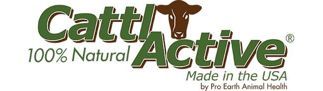Cattl Active