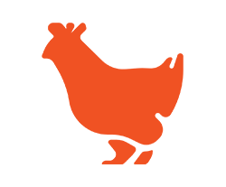 Chicken and Rabbit Feed