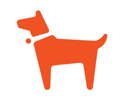 Dog Feed