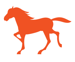 Horse Feed